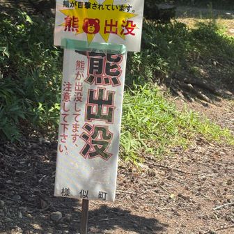 熊目撃情報
