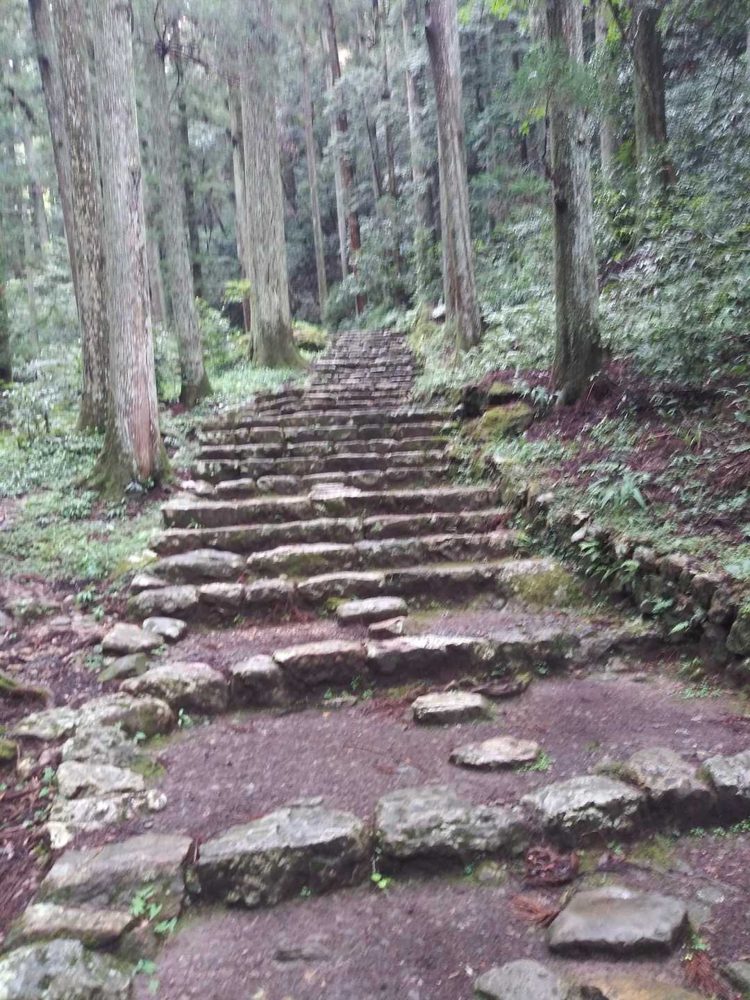 最初の方はこんな感じ