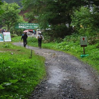 横尾に着いた！
カミナリ⚡️ゴロゴロゴロで雨は本降り☔
横尾ゲートのスタッフに挨拶して、エゾノギシギシを少しだけ刈り取り、持参したカップ麺を食べて、即帰ることに