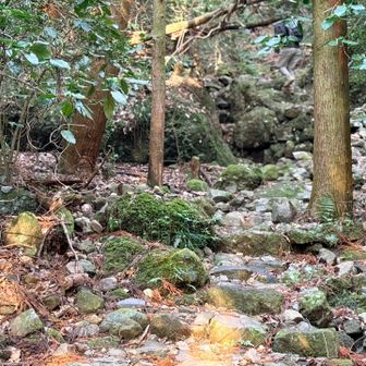 石段がずーっと整備されている