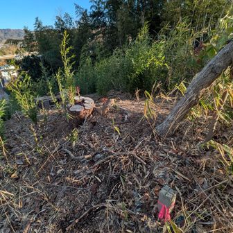 31　高岡山
表示なし