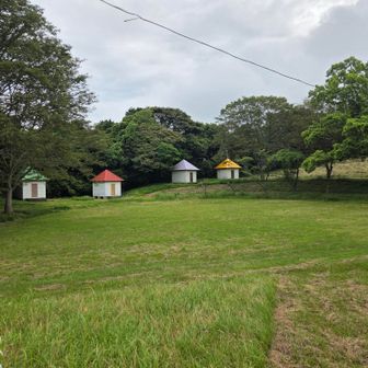 え、かわいい🏠