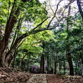 若草山・芳山・高円山 滝坂の道を歩きます🚶