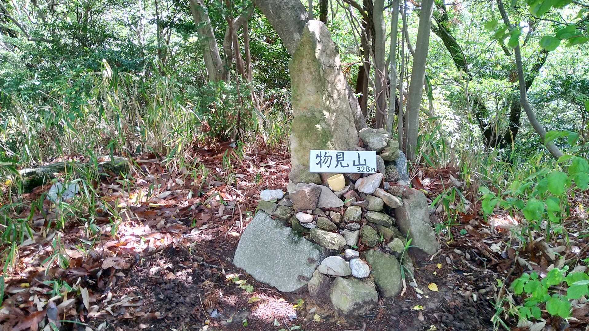 物見山の写真