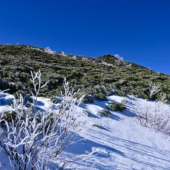 雷鳥には会えなかったがいい景色だった
とにかく疲れたので黙々と下山
