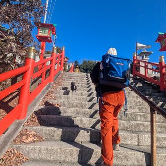 今日の(*Ü*)ﾉohayoϋの挨拶は
りんごさん🍎はなちゃん🐕️
明けましておめでとうございます🎍
2026年🐴よろしくお願いします