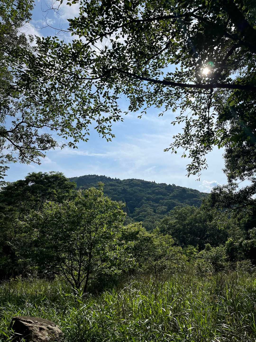 炮烙山 往復コースの写真