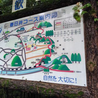 スタート。