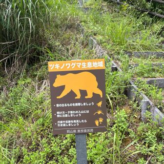 那岐山系にも熊はいますね