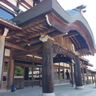 清凉寺
井伊家の菩提寺だけありデカイ寺だ