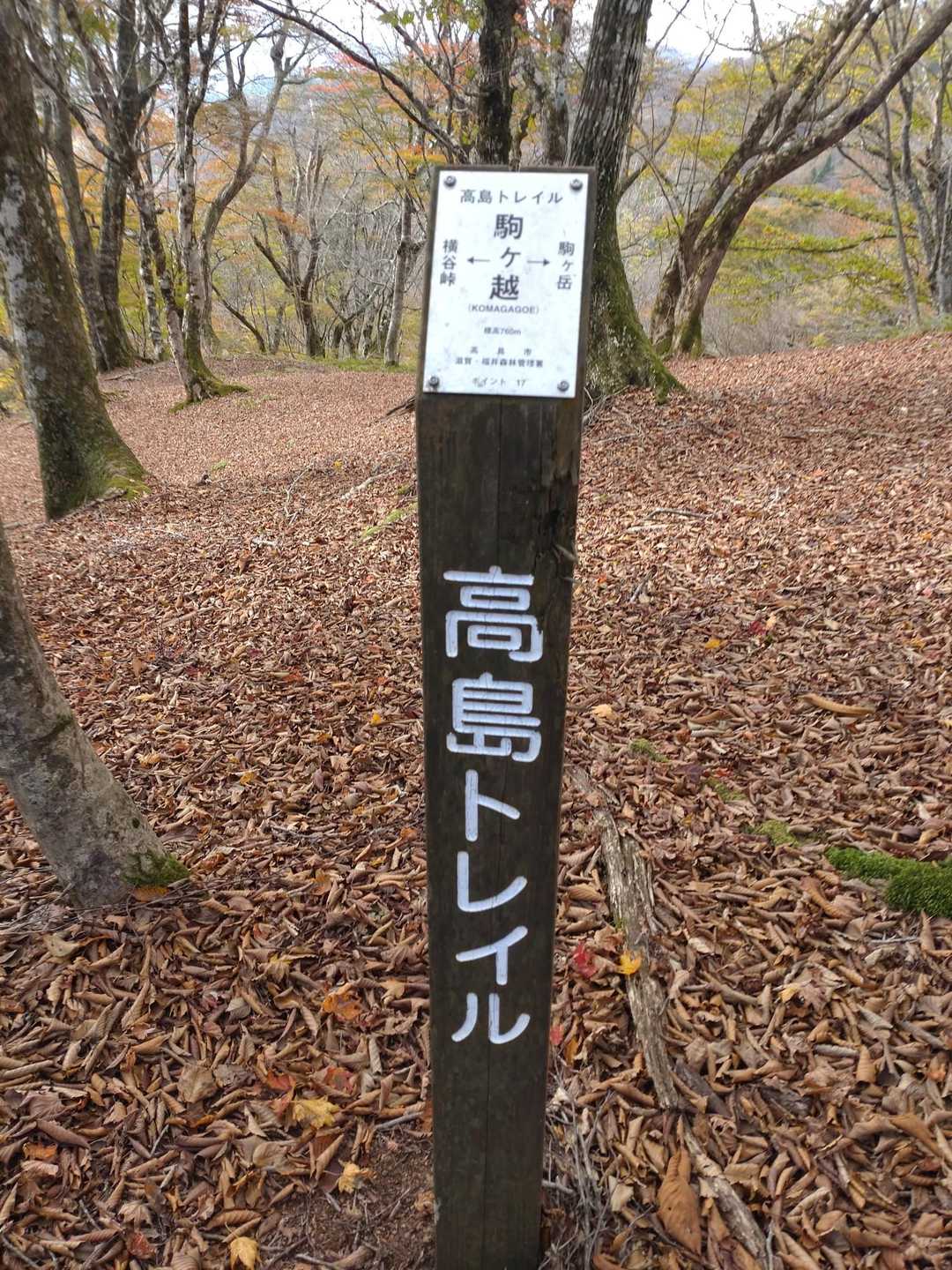 駒ヶ越に着😄
高島トレイルと合流