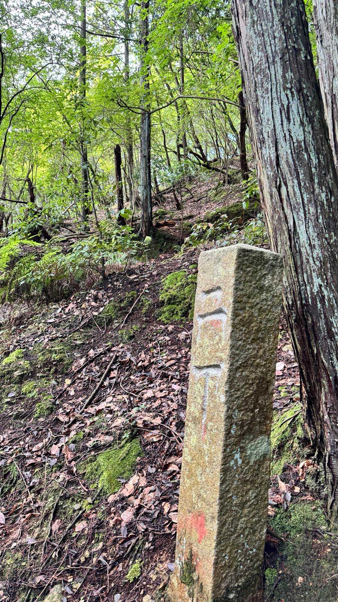 二丁 = 218m地点の標識通過💨
丁目の標識が多すぎて、写真撮るのヤメや❌