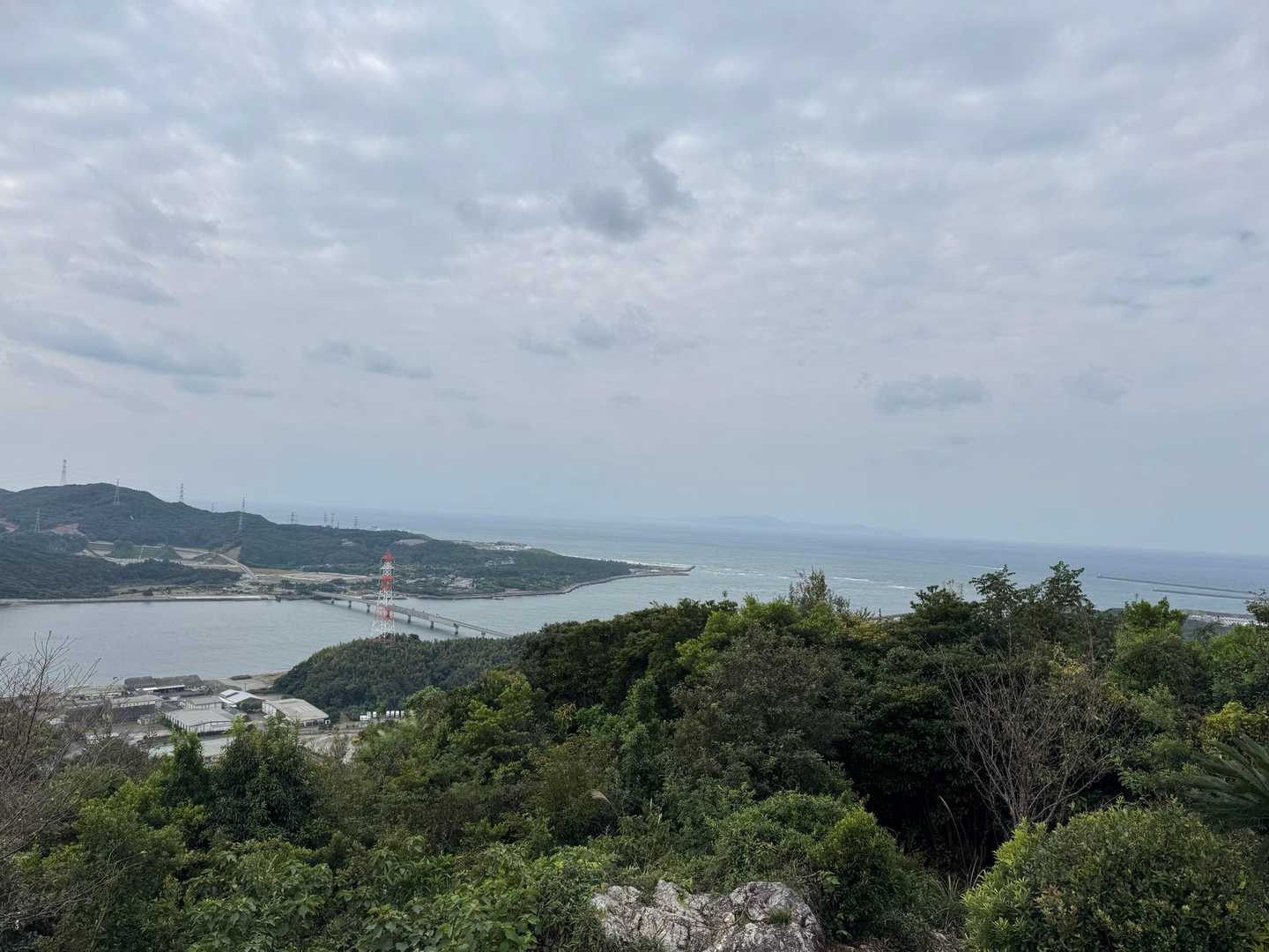 月屋山登山道入口-月屋山 往復コースの写真