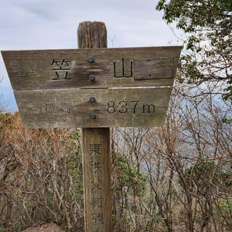 笠山とうちゃこ。ただし、東秩父村側。