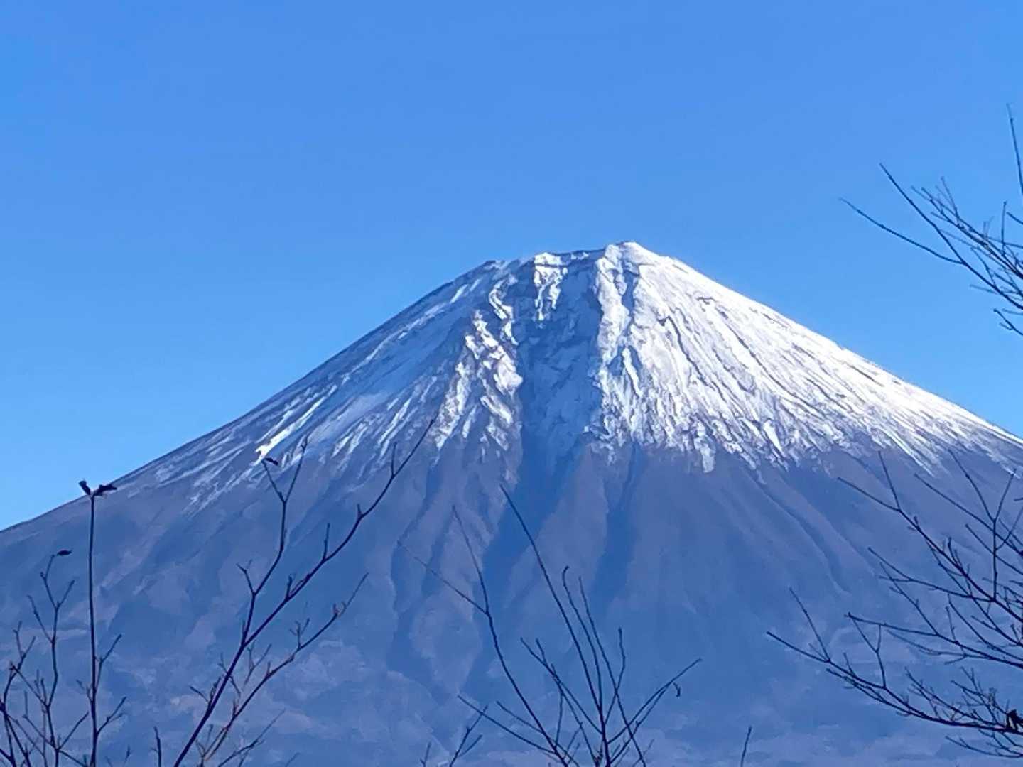 長者ヶ岳-天子ヶ岳 周回コースの写真