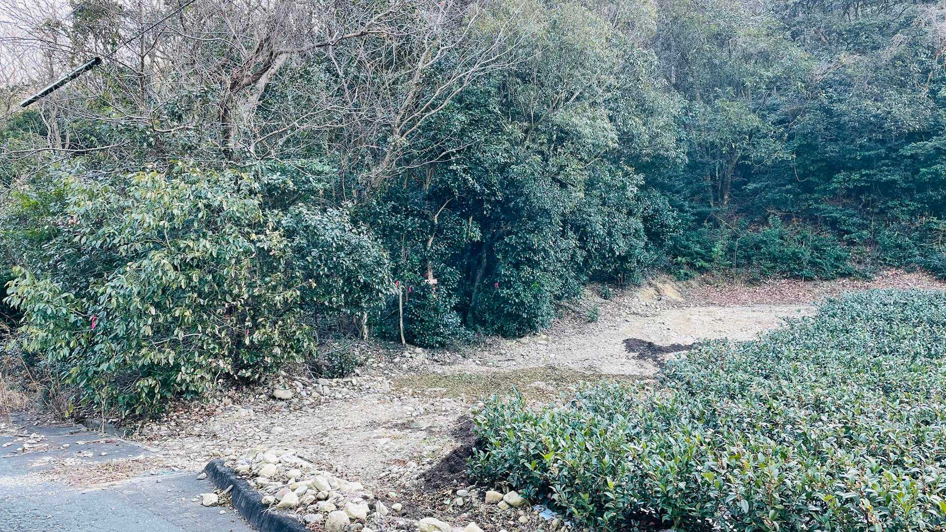 わかりにくいからですね…
ちいさーく看板がある場所が登山口です。