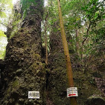 そそり立つ夫婦岩