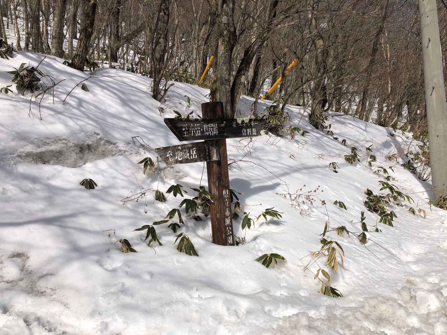 ここから地蔵岳に登ります
