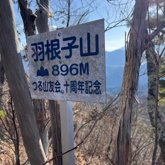 この山頂手前やばいです