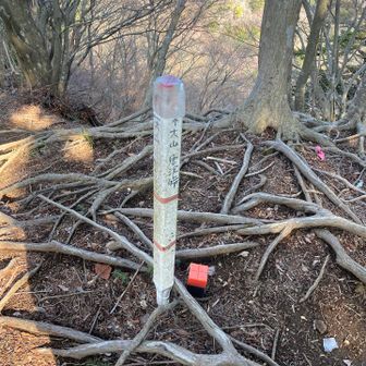 鍵掛は標柱無し…