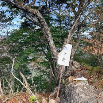 百名山の八ヶ岳より四つも多いのか
そりゃしんどい