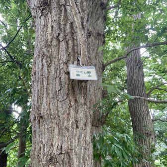 1番最初に目につく