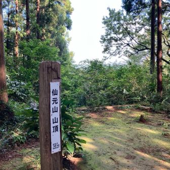 仙元山。この先、城山は写し損ねた...。