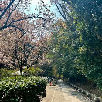 登り口が見えてきた