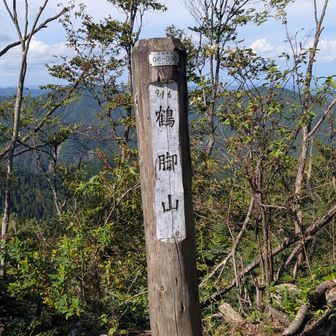 つるあしやま 916m