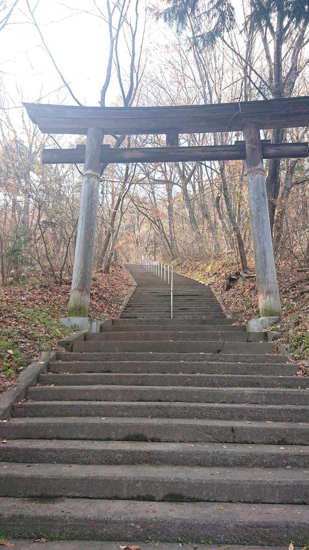 金毘羅神社-地附山-主郭 周回コースの写真