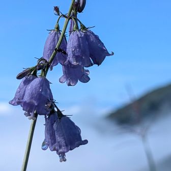 さて、帰りますかー！
白雲山は雲が似合う☁️✨️
*
後続の方々も良い景色見れますように🙏