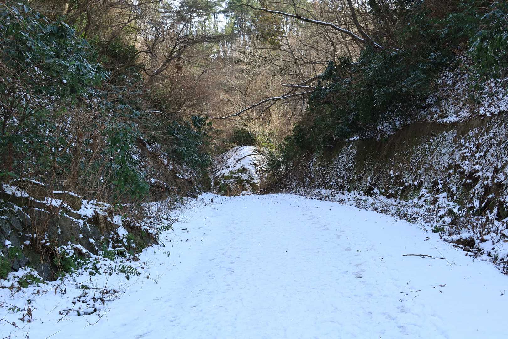 登山口までの舗装道は真っ白。ですが雪は深くはなくストックを突くとすぐにコンクリートに当たります。