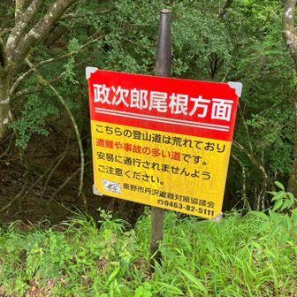 安易に通行してはいけないようです。
しかし塔ノ岳に戻るのも三ノ塔まで進むのも膝が心配😟なので安易ではなく切迫詰まった通行なので良し👌