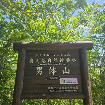 奥久慈男体山⛰
日本百低山
関東百名山
ひとコマ🎲進みました
タオルを頭に巻いたハイカーさんと嚙み合わないお喋りしました💦
ポンコツポンコ🦝 𝙼のせいです😭