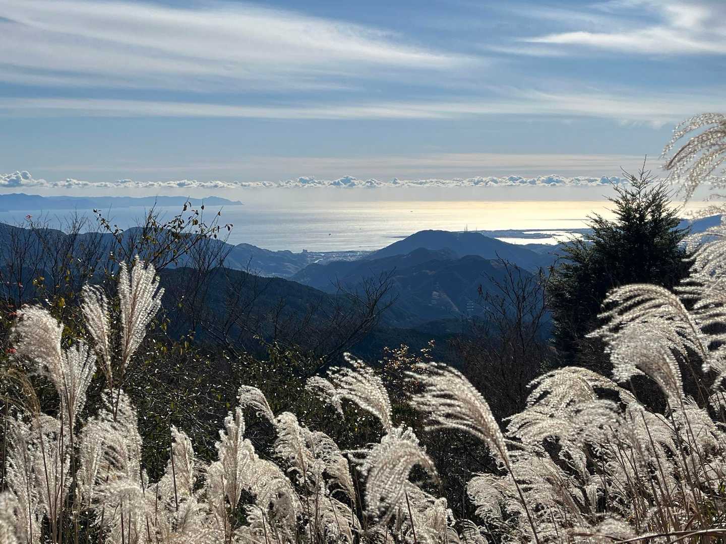 駿河湾😆