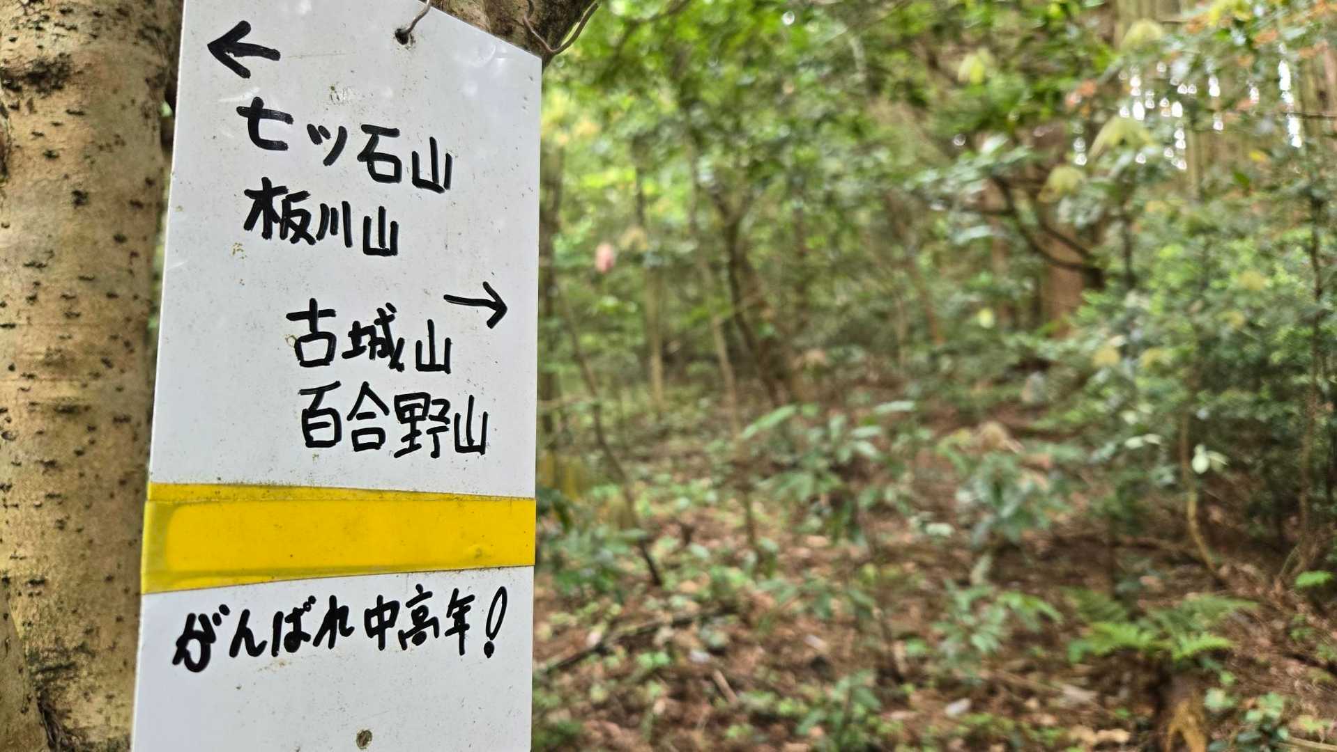 がんばるよ中高年💪
