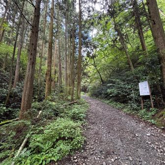 幅のある砂利道