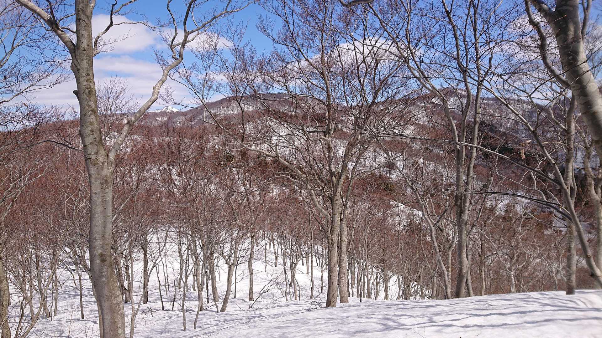時間が無いので一息入れたら直ぐに次を目指す。