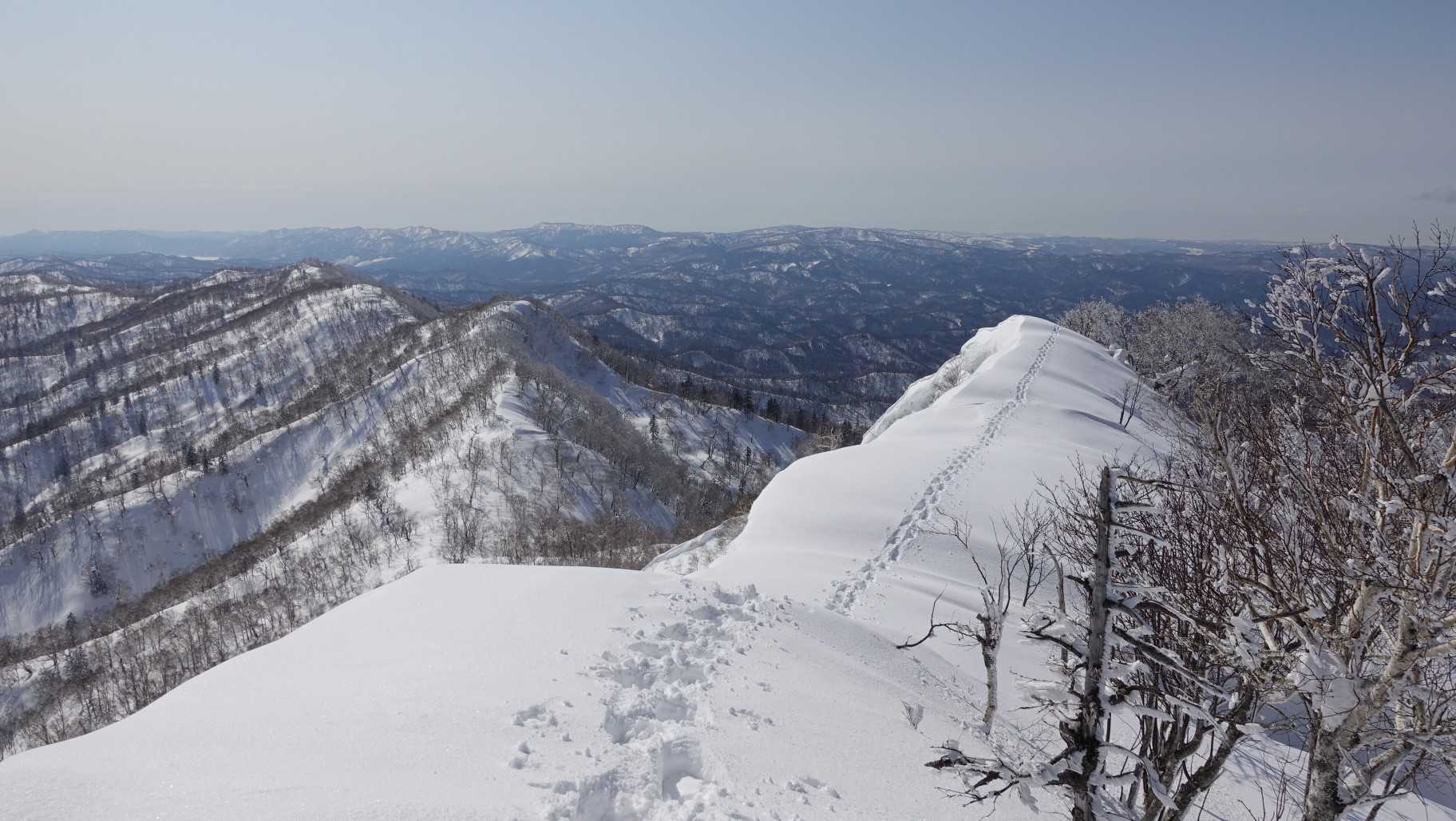 振り返って
ここからはずっとラッセルです