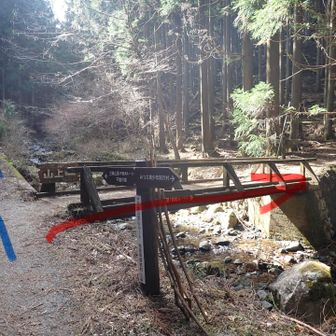 谷間を進み、この橋🟥を渡って登尾ルートで登ります
直進は不動滝ルートです