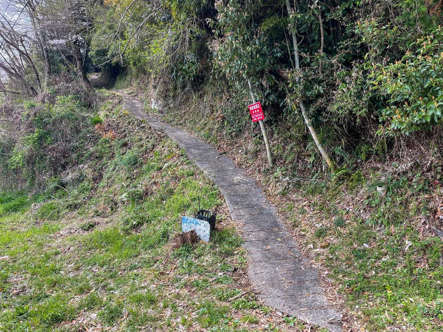 登山口に到着しました。