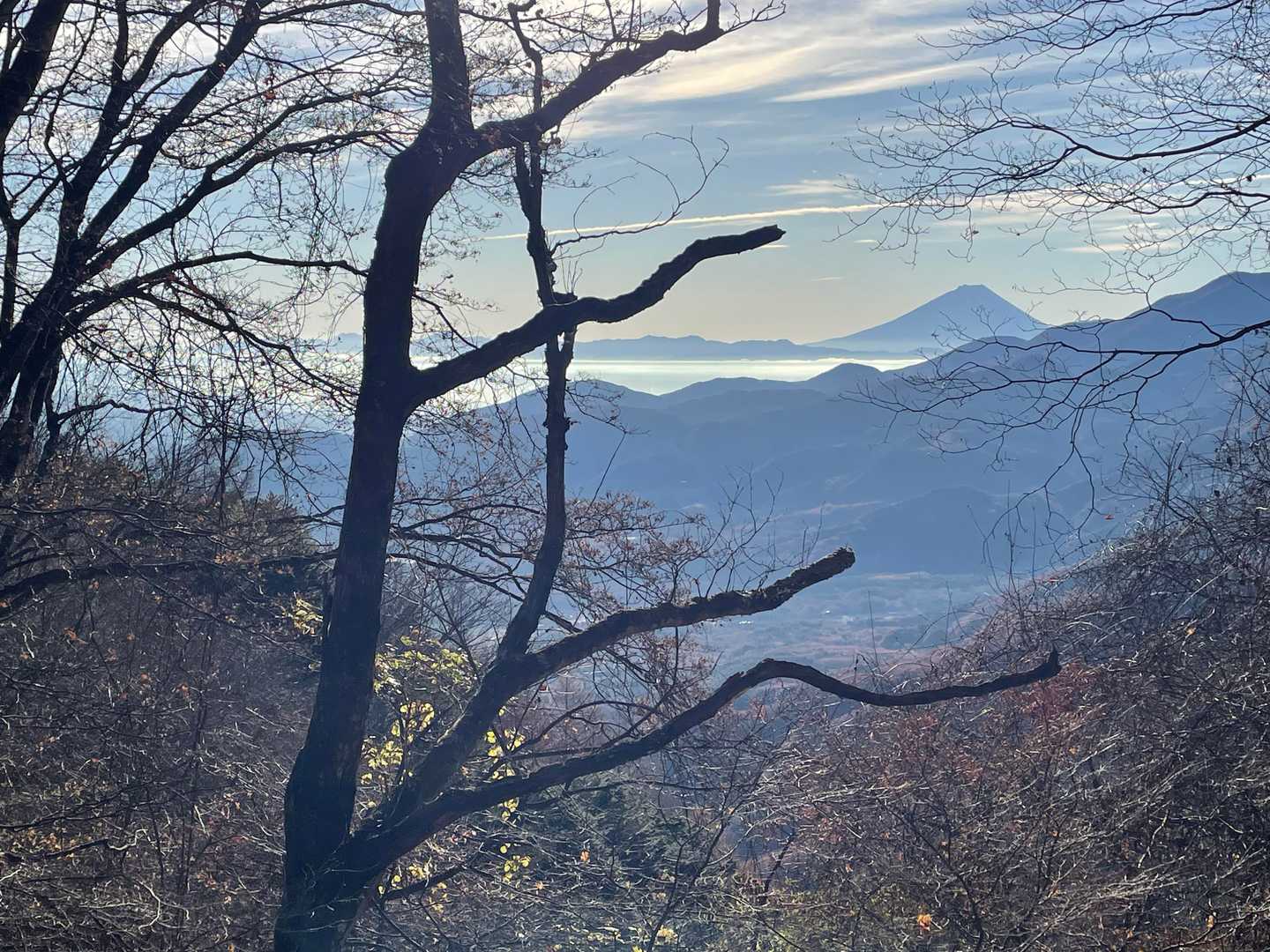 雲海と富士山❗
