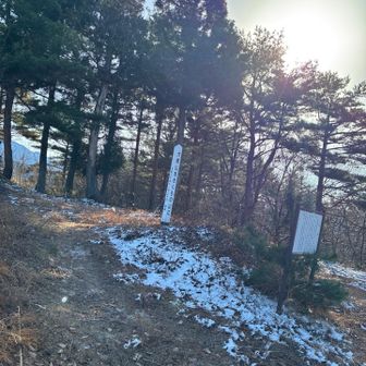 大師山を桜の山に🌸
小学1年生の女の子の名札が付いた桜の木が植えられてた　　植樹してるんやね🌸🌸
満開の桜が見れる日が待ち遠しいね✨✨