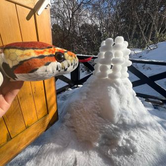 りゅーじがまた何か作ってたわ🤣
中にキャンドル灯すんだな？🕯️