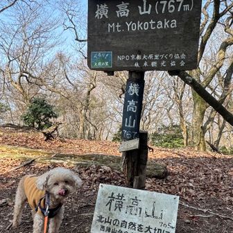 横高山⛰️
