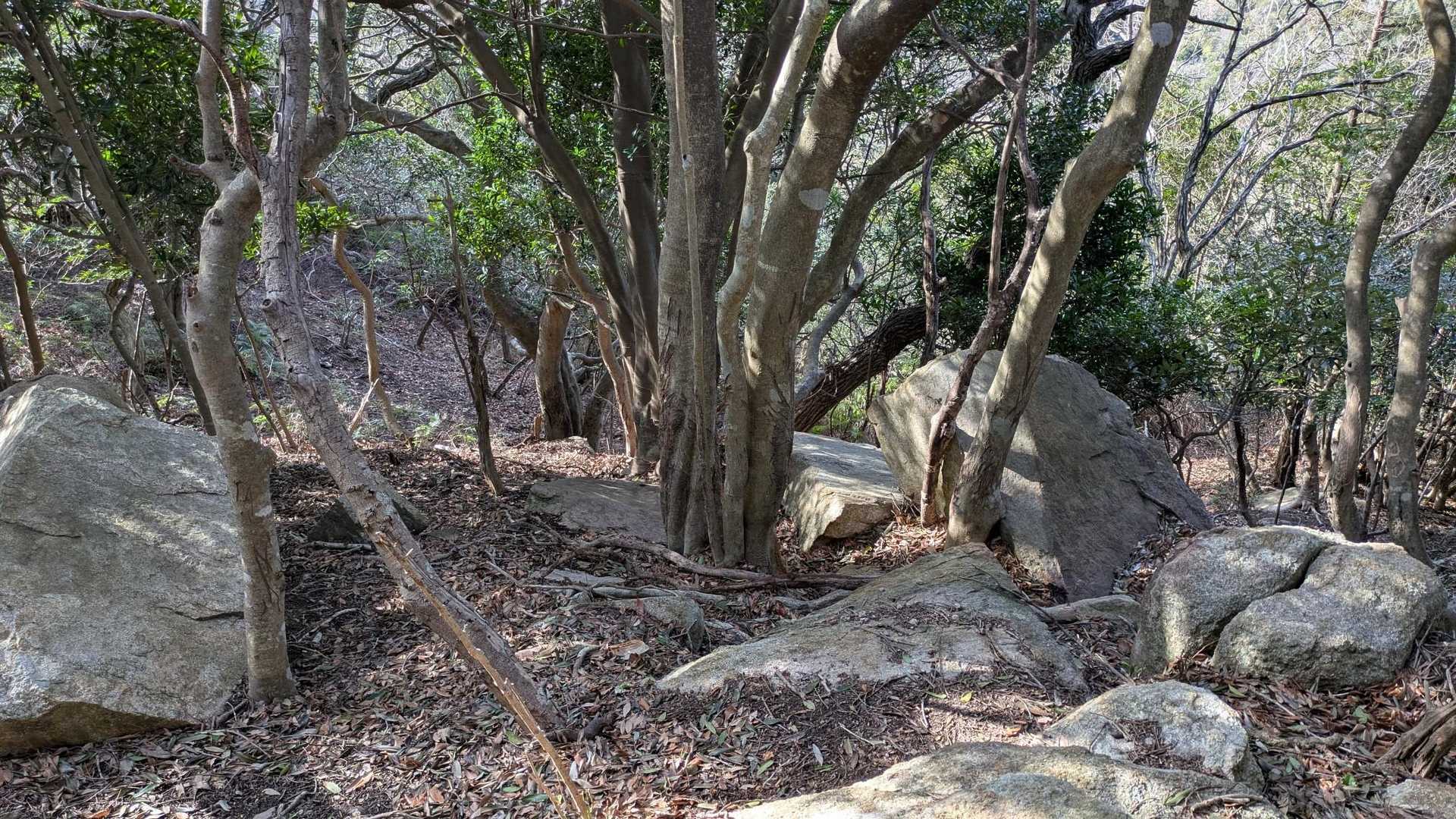 下ります(⁠人⁠ ⁠•͈⁠ᴗ⁠•͈⁠)