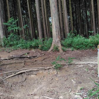 ダイヤモンドレールと合流地点