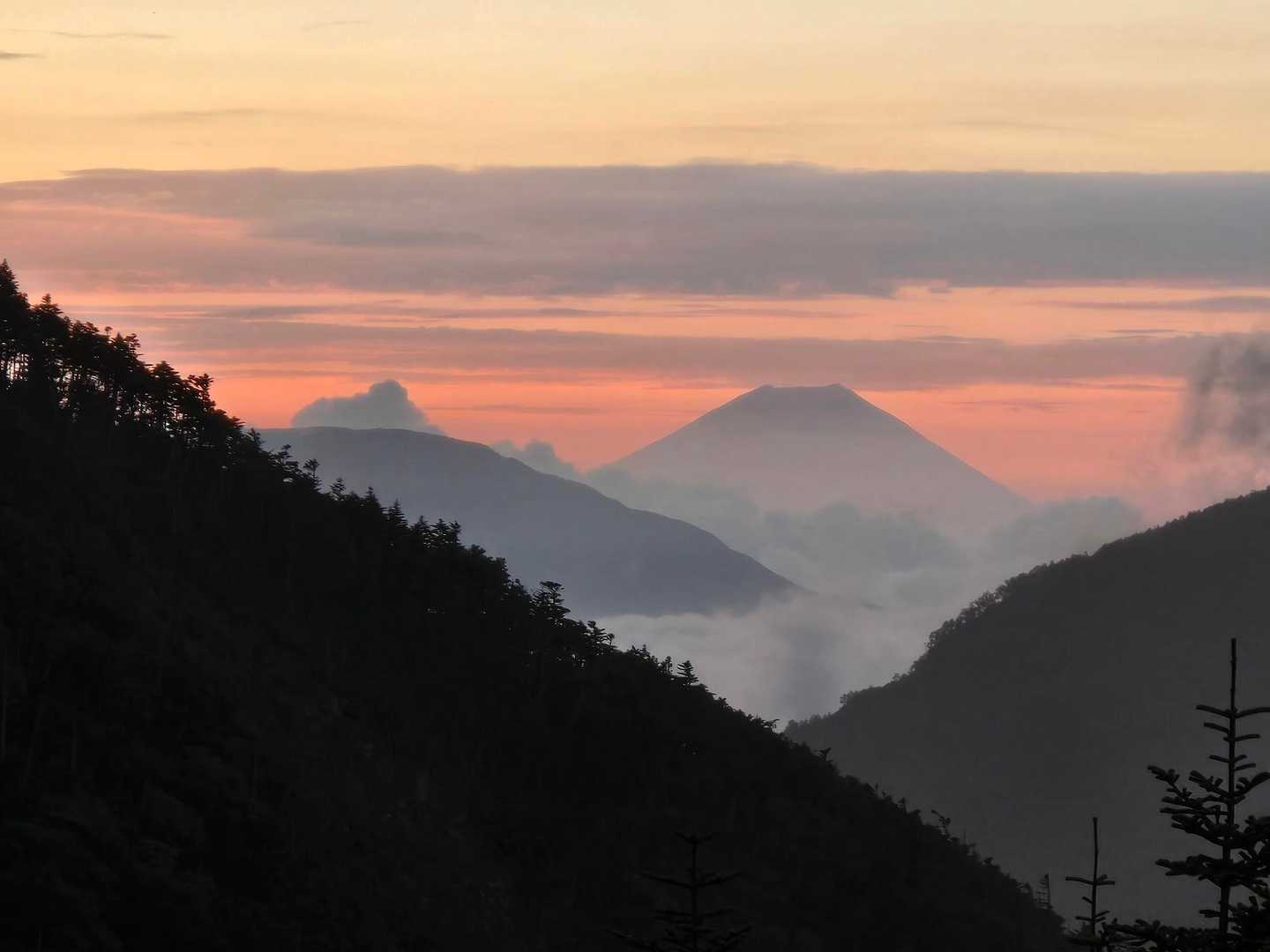 富士山見えました。