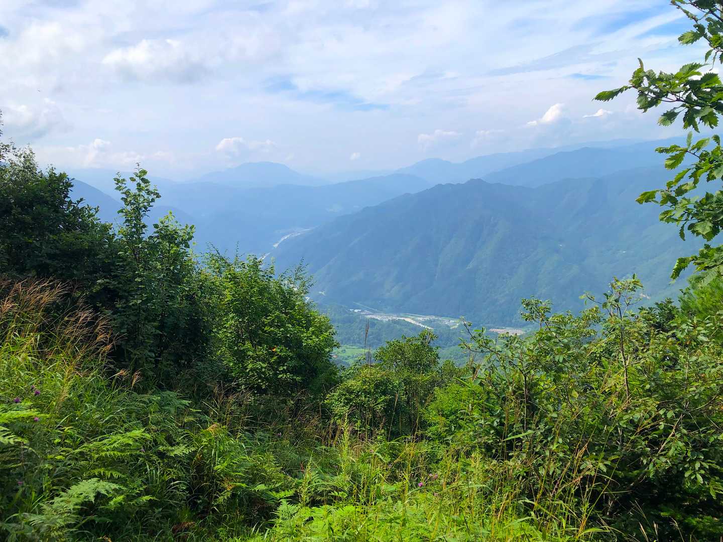 風越山登山口-風越山 周回コースの写真