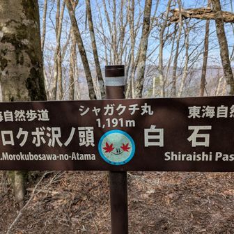 東海自然歩道と合流。
由来が気になるシャガクチ丸。
丹沢は「丸」がつく山がたくさんありますが、わたしの知っている限りだと28座あります。ぜんぶ登りたいです！